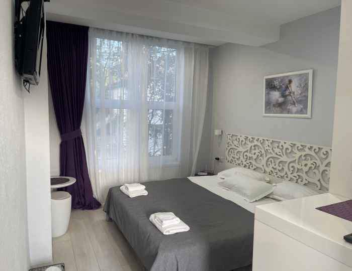 Номер улучшенный стандарт (на 2 этаже) - Отель Constanta / Константа Новый Афон